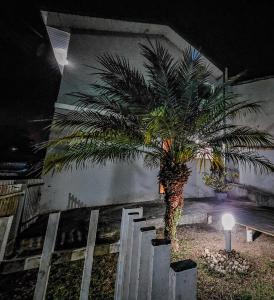 nachts eine Palme vor einem Gebäude in der Unterkunft Casa para Hospedar in Fazenda Rio Grande