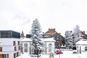 Hotel Bergidyll - Riders Haven v zimě + 33 fotografií