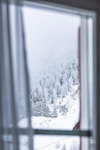 Hotel Bergidyll - Riders Haven during the winter