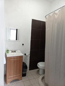 y baño con aseo, lavabo y ducha. en Confortable Loft MN 960 E Centro Mty cerca de todo, en Monterrey