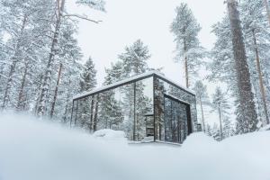 Invisible Forest Lodge að vetri til