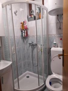 La salle de bains est pourvue d'une douche et de toilettes. dans l'établissement Apartman Royal Vlašić, à Vlašić