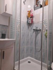 a shower with a glass door in a bathroom at Apartman Royal Vlašić in Vlasic