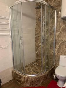 een glazen douche in een badkamer met een toilet bij ObolonSky in Kiev