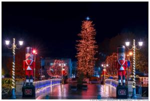 a group of christmasmas trees and lights in a park at Andromache's Cozy Villa close to Meteora-Trikala in Tríkala