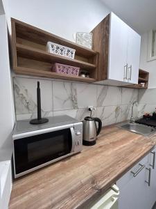eine Küchentheke mit Mikrowelle und Spüle in der Unterkunft Vlasic Apartmani HANA in Vršac