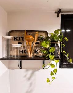 a shelf with a pot and a plant on it at Cozy Loft Near the Airport & Beach-Unit I in Puerto Princesa City