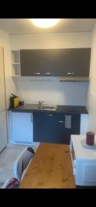 uma cozinha com um lavatório e uma bancada em Joli studio au pied du Moleson em Gruyères