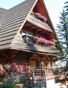 a log cabin with flowers on the balconies at Bukovina Concept Mountain in Bukowina Tatrzańska