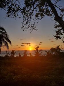 una puesta de sol sobre el océano con palmeras en Life for Life Hostel Drake Bay Home of Sea Turtle Marine Conservation Project Osa Peninsula near San Josecito Beach, en Drake