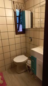 a bathroom with a toilet and a sink and a mirror at Casa de 3 Quartos em Garopaba - Bairro Ferraz in Garopaba