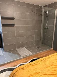 una ducha con puerta de cristal en un dormitorio en Élégant F2 luxueux proche Suisse, en Delle