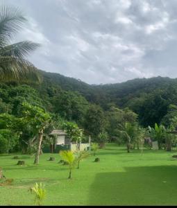um campo verde com palmeiras e uma montanha em Casa da Jane em Paraty