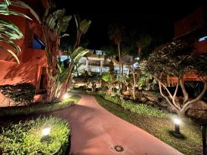 A garden outside XPCE D CARLOS GARDENS Apartment