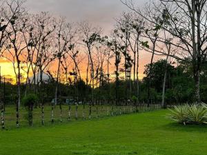 un champ avec des arbres et un coucher de soleil en arrière-plan dans l'établissement Casa Roble Fortuna, à Fortuna