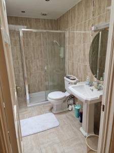 a bathroom with a shower and a toilet and a sink at Central Westport Town House in Westport