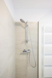 a shower with a shower head in a bathroom at Zoder Apartments in Vienna