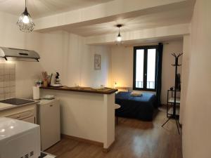 - une cuisine et un salon avec un lit dans une chambre dans l'établissement Le Charme - Focalimmo (Centre), à Foix