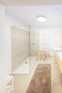 een glazen douche in een witte badkamer met een tapijt bij Zoder Apartments in Wenen