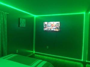 a green room with a bed and a television at Avalon Regia 2 Bathroom Downstairs Apartment in Georgetown