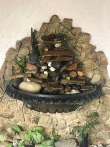 a stone wall with a tire and a plant at Solo Buziano Guest House in Búzios