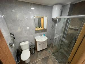 a bathroom with a shower and a toilet and a sink at APARTMAN 94 in Zlatibor