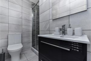 a bathroom with a toilet and a sink and a mirror at Fabulous One Bedroom Flat with Private Garden in London
