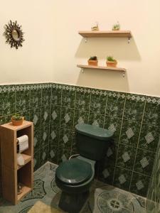 a bathroom with a green toilet and a shelf at Chill House Flores in Flores