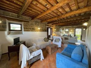 a large living room with couches and a television at Spacious Holiday Home in Amandola with Swimming Pool in Amandola