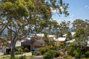 a house in a suburb with a tree at Annabel's Place - Pet Friendly with Fireplace in Vincentia