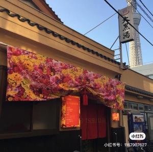 公寓所在的建築