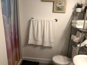 a bathroom with a white shower curtain and a toilet at ChrisTon Exotic Suite - A Homey Suite in Halifax