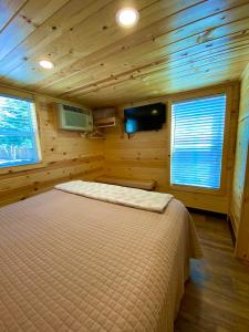 TV a/nebo společenská místnost v ubytování Ouray Riverside Resort - Inn & Cabins