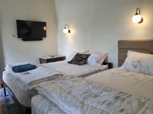 Postel nebo postele na pokoji v ubytování Diyan Padhang Homestay Kamar5