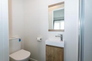 a bathroom with a toilet and a sink and a mirror at Aurora City Suites Motel in Rotorua