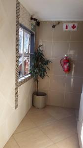 a potted plant in a room with a window at Legacy Guest Lodge in Johannesburg