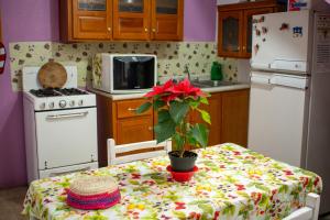 una cocina con una mesa con una planta en La Carreta Rica, en Zitácuaro