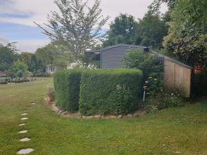 a hedge in a yard next to a house at Cabins on Tudor bed & breakfast in Motueka