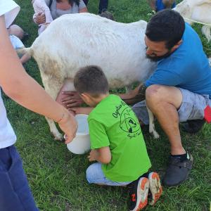 a young boy is sitting next to a cow at Agritur Maso Piasina in Tesero