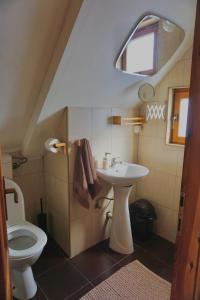 a bathroom with a sink and a toilet at Cozy chalet Montana in Kopaonik