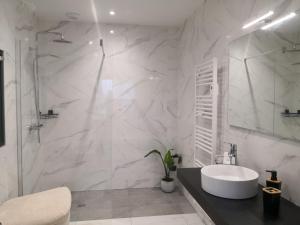 IholdyGites Mendiburia的带水槽和淋浴的白色浴室