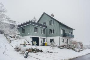 a green and white house in the snow at Fünf Harzer Berge Oderberg in Sankt Andreasberg