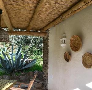 un patio con una planta y un techo de madera en Cortijo La Viñuela, en Atalbéitar