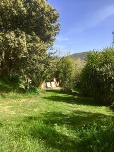 a grassy yard with trees and a house in the background at Cortijo La Viñuela in Atalbéitar