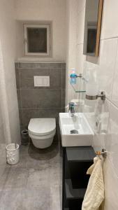 a bathroom with a white toilet and a sink at Ferienhaus2-Sölden in Sölden