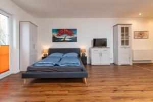a bedroom with a bed and a television in it at Ferienwohnungen An den SchwabachAuen - Keine Monteure in Eckental