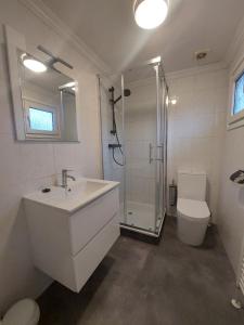 ein Bad mit einer Dusche, einem Waschbecken und einem WC in der Unterkunft Resort Venetie Chalet nr.42 in Giethoorn