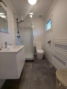 y baño con ducha, lavabo y aseo. en Resort Venetie Chalet nr.42 en Giethoorn