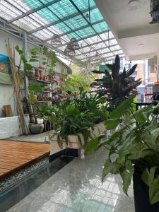 a room filled with lots of plants in a building at Flower Home ផ្ទះសំណាក់ ហូមផ្កា in Sihanoukville