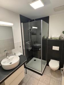 Imagen de la galería de Studio Rotmilan Remetschwil, en Remetschwil